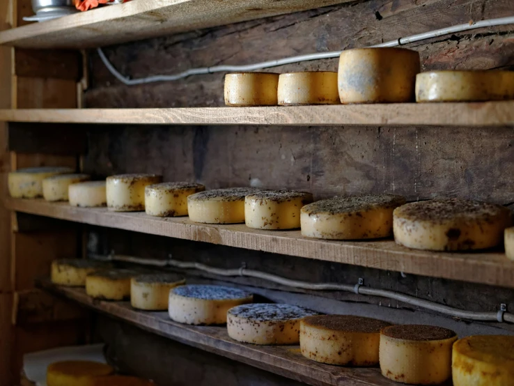 the shelves in this shop are filled with cheese