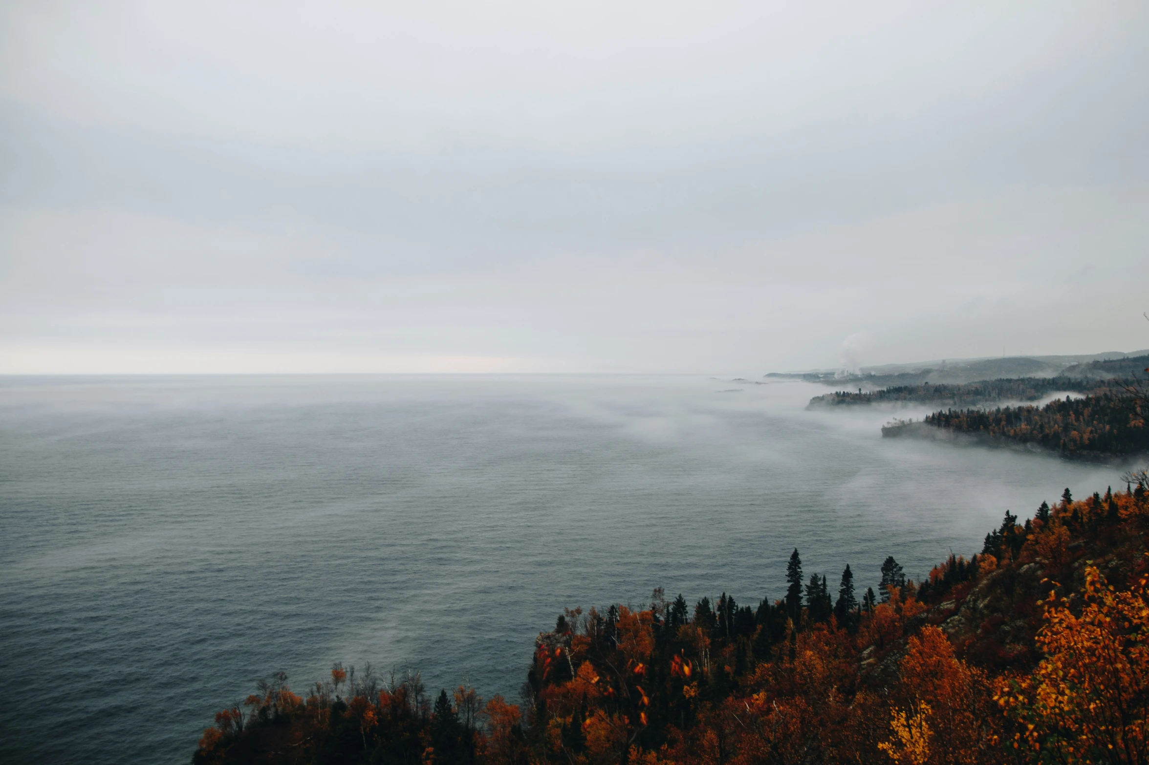 fog in the background, as seen from a viewpoint point of a forested area