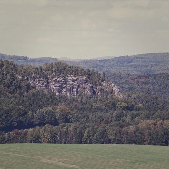 a large mountain is shown with tall trees on the top of it