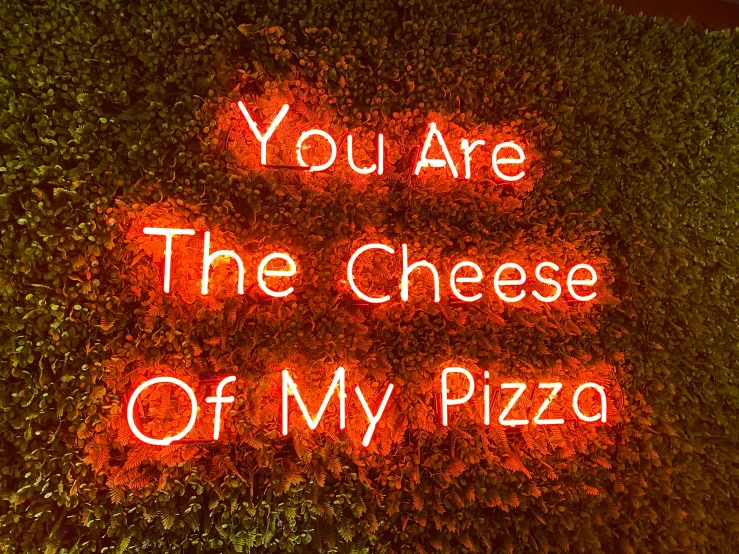 you are the cheese of my pizza neon sign
