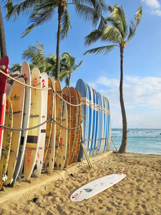 a bunch of surfboards sitting in the sand at the beach