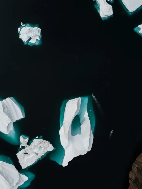 aerial view of icebergs floating in the water