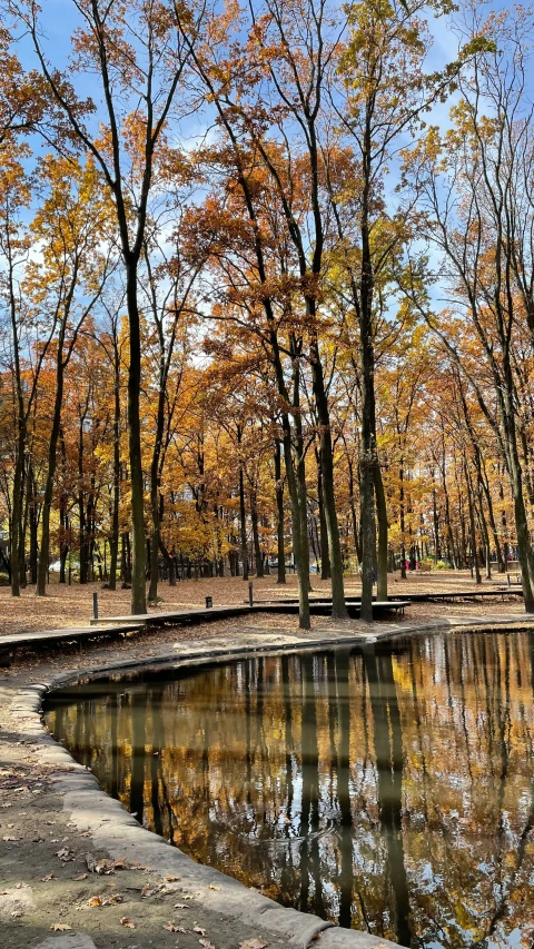 a lake that is surrounded by trees with leaves