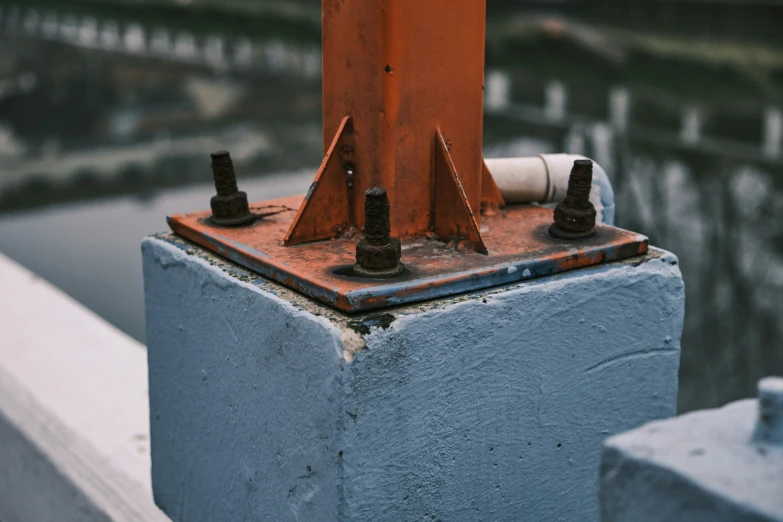 a close up view of soing in the water