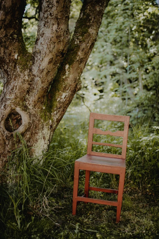 an abandoned red chair sitting under a tree in the forest