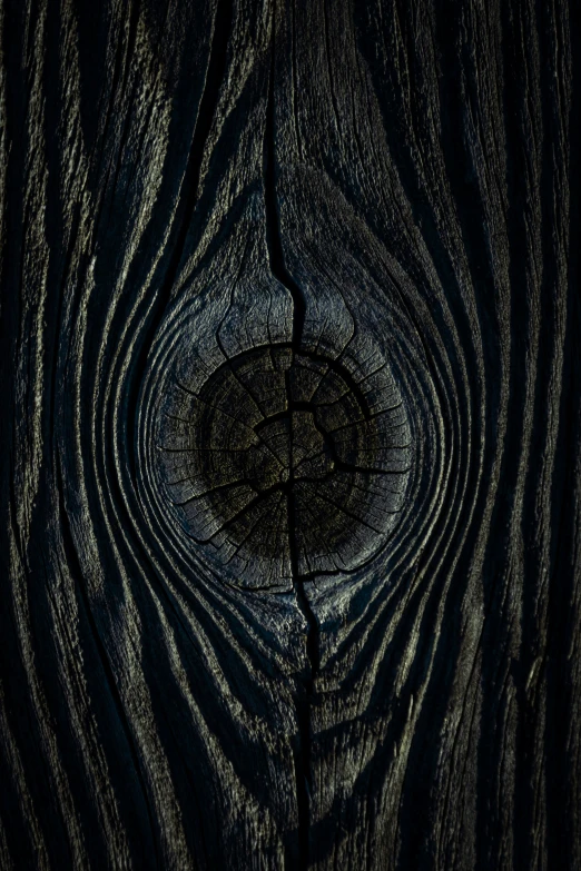 the wood grain in a wood structure is abstracted