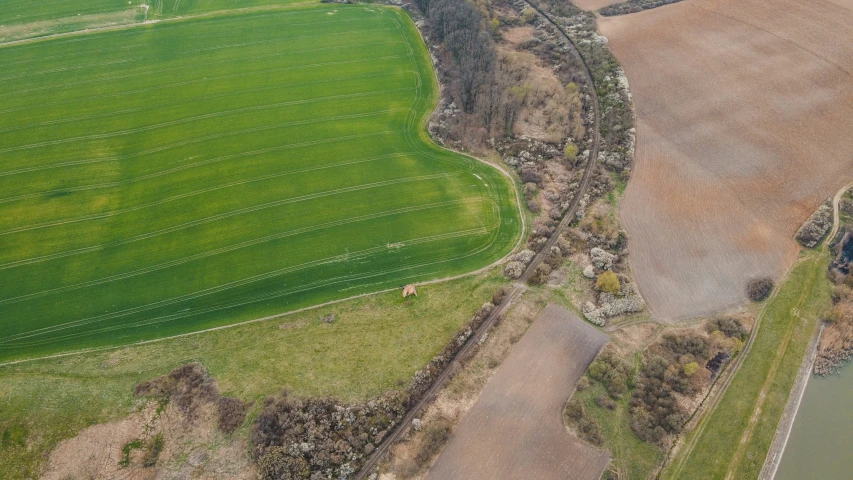 an aerial po of a small area near water and trees