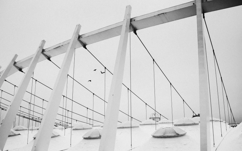 the underside of some wooden beams in winter