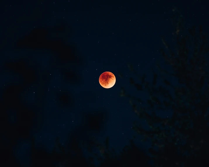 a full moon shines through the night sky