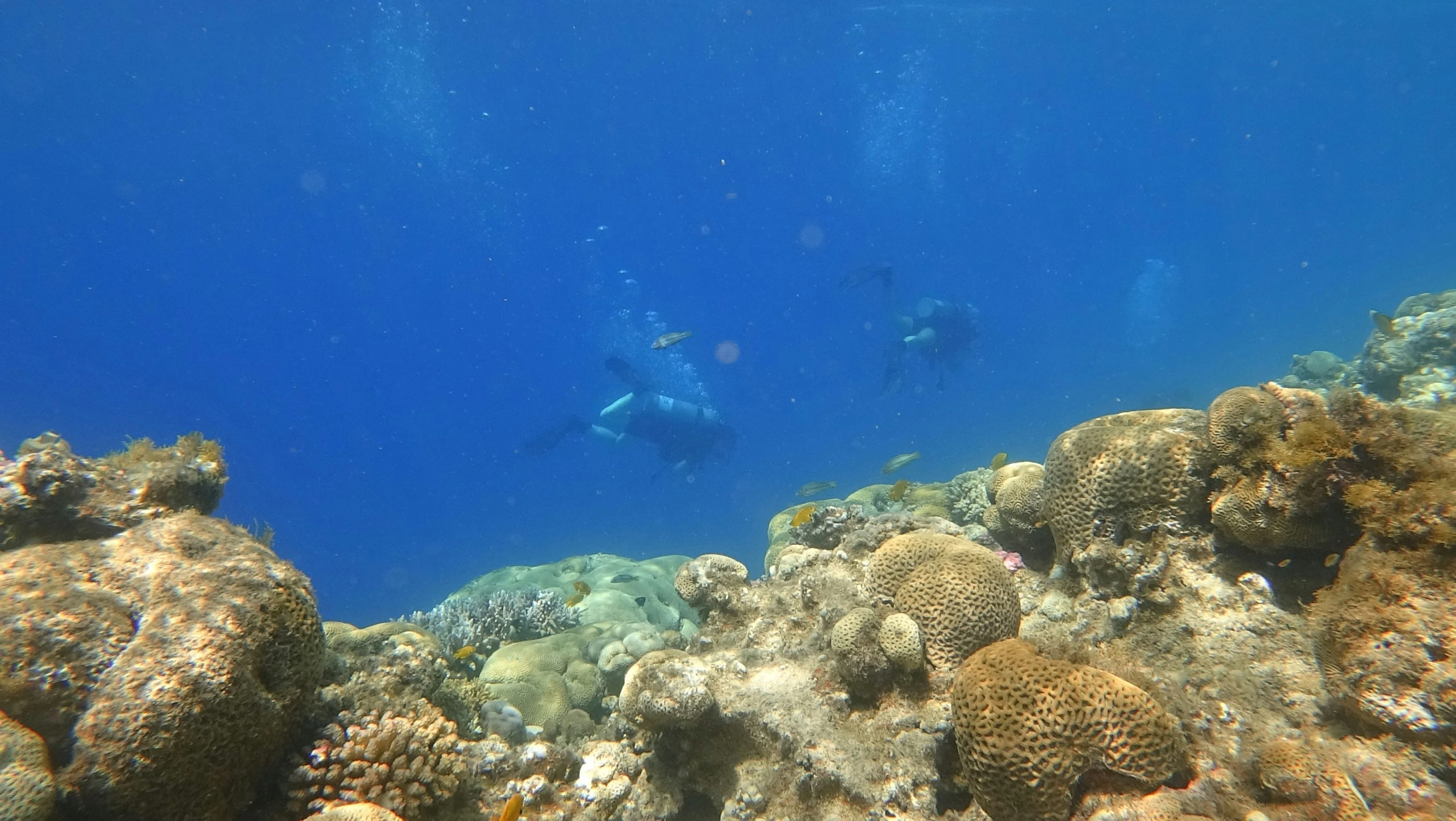 a man swimming in a large amount of water with corals