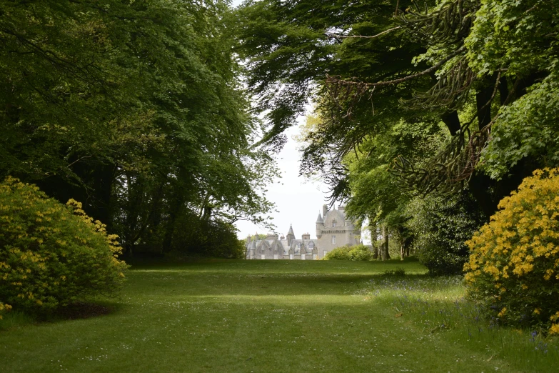 view of a palace through a row of trees from the side