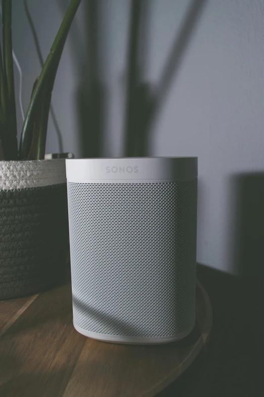 an open air speaker on a table with two plants next to it