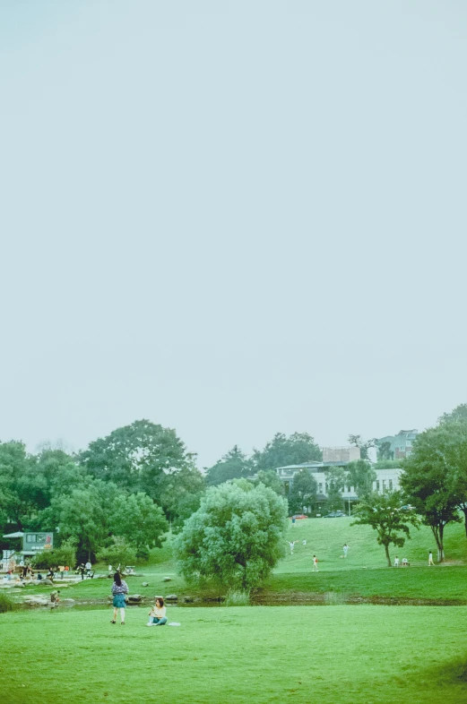 a field with people playing with a kite