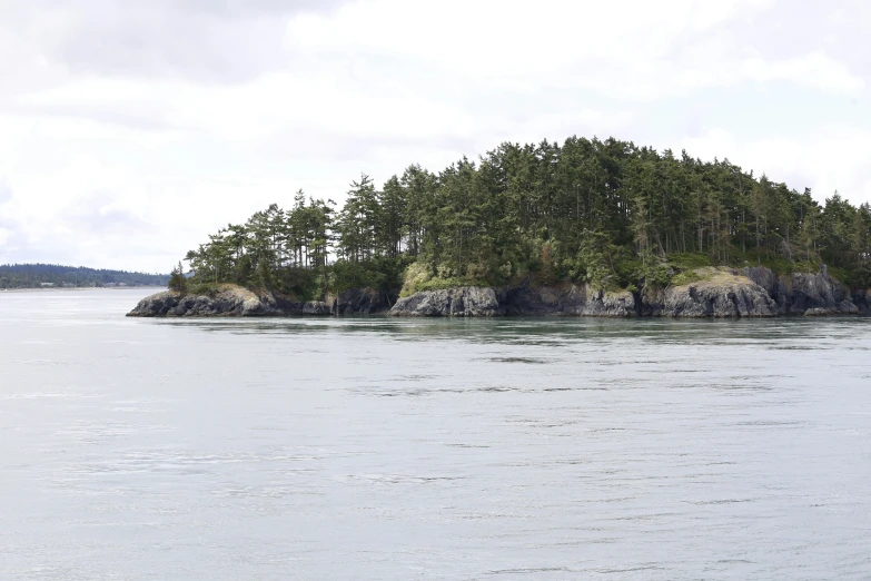 a small island surrounded by many trees in a large body of water