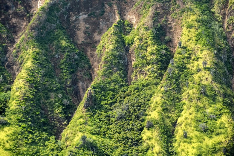 an aerial view of many very tall green hills