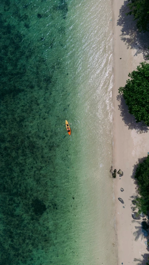 two people are paddling on surfboards on the ocean