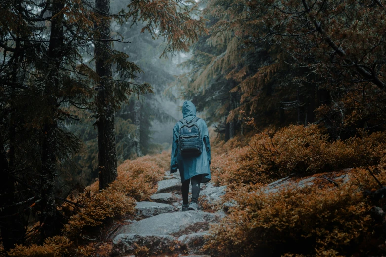 a woman with a blue jacket is hiking through the woods