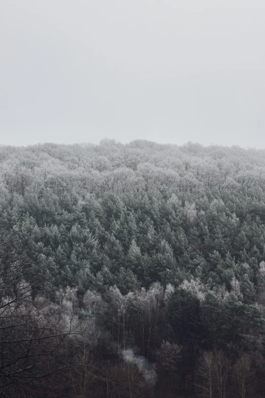 a snowy mountain with trees on it