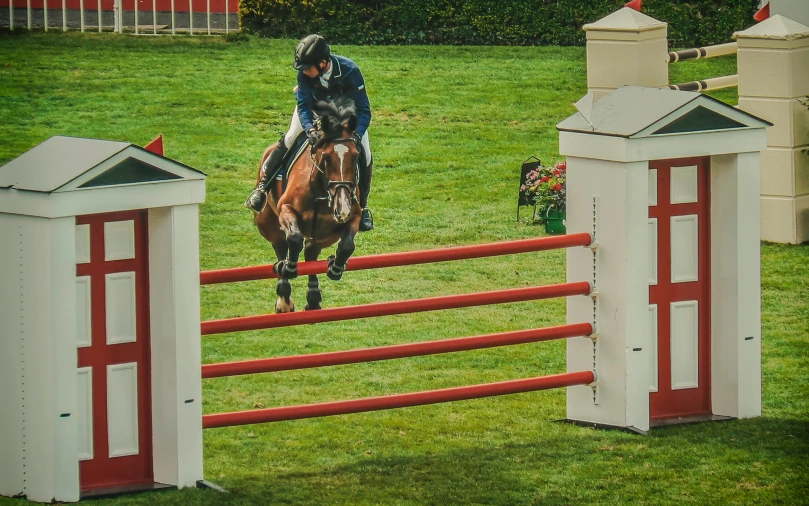 a person riding on the back of a brown horse