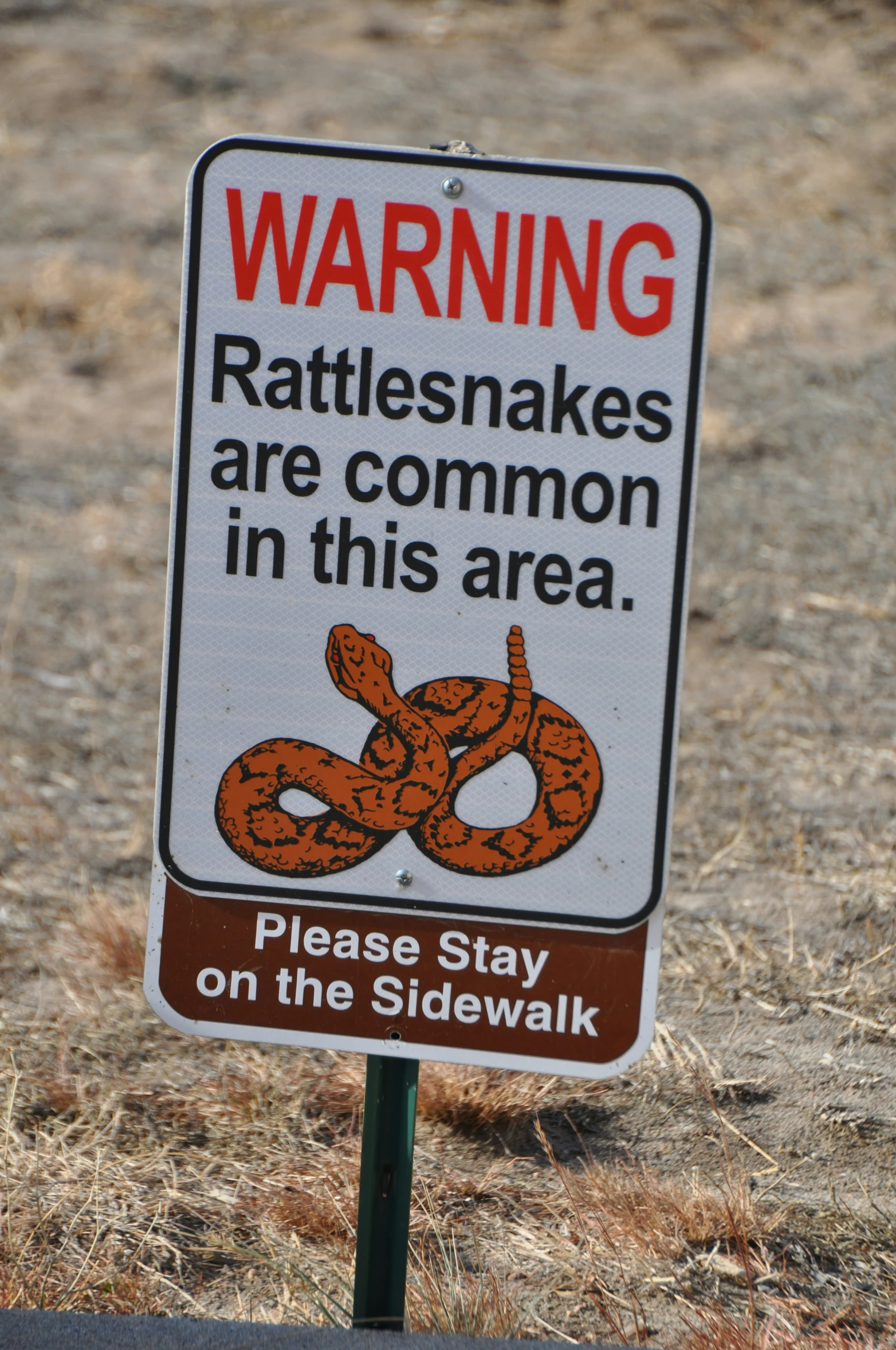 a sign warning rattles snakes that are common in this area