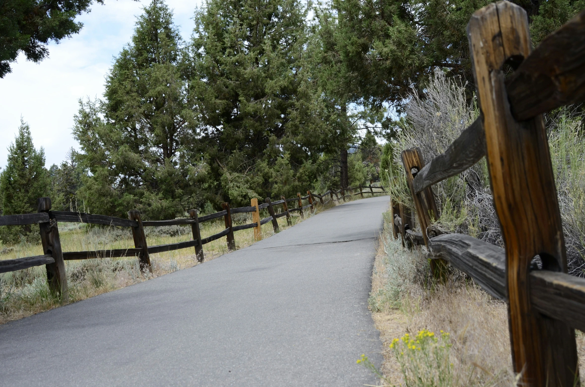 there is a bike trail with wood fenced in