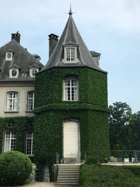 a home covered in ivy with a tall tower