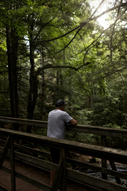 a man looking over a bridge into a forest