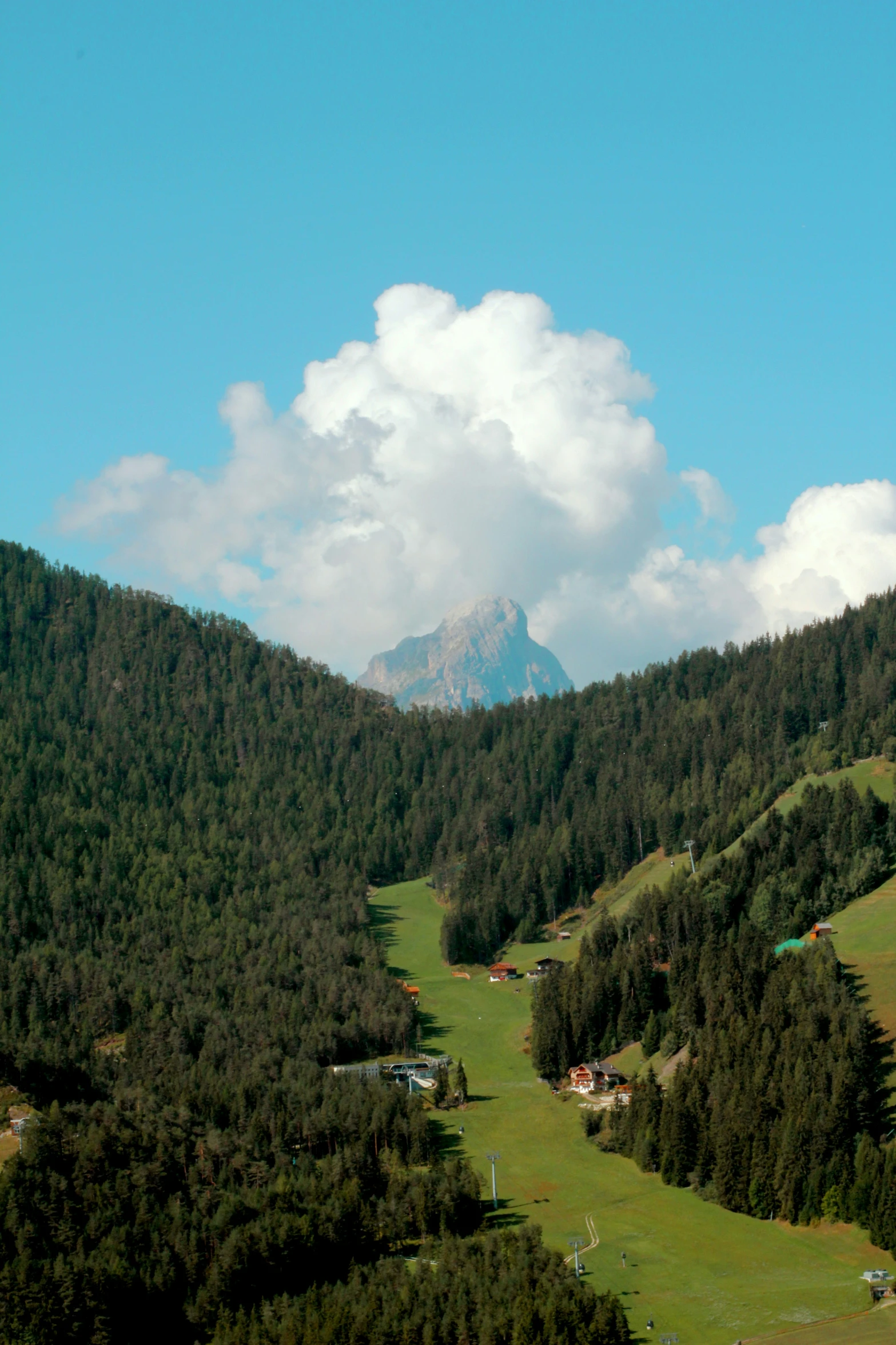 mountains with trees and green grass and buildings in the foreground