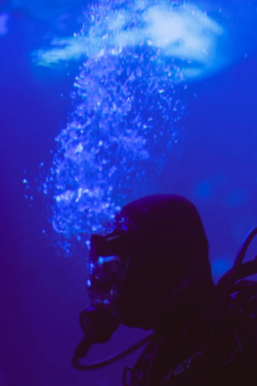the silhouette of a scuba diver with a camera in his hand