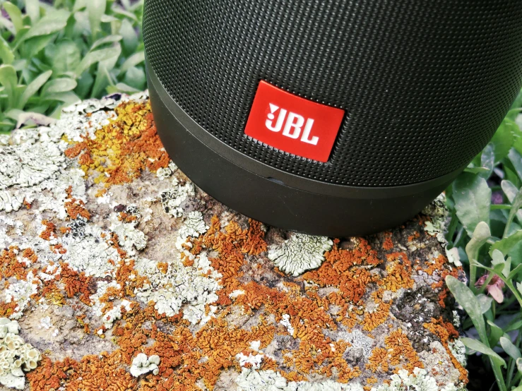 the lid is attached to a bluetooth speaker