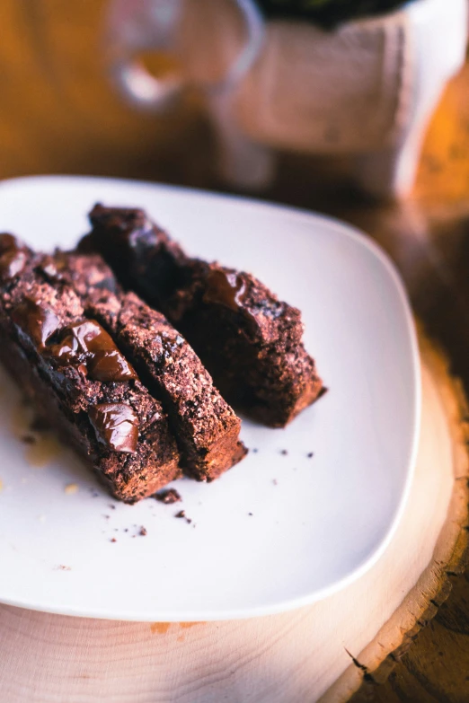 two pieces of chocolate cake on a white plate