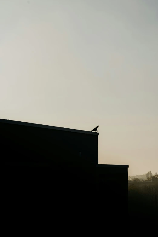 a bird is perched on the top of a building