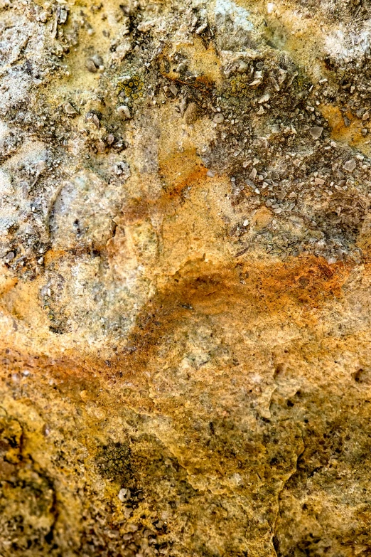 a rock covered in lots of lichen and dirt