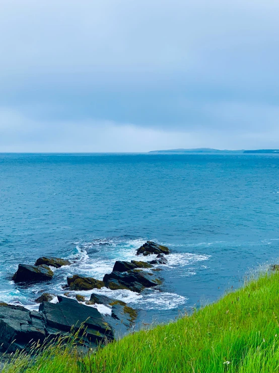 the grassy shore of the ocean has two sheep on it