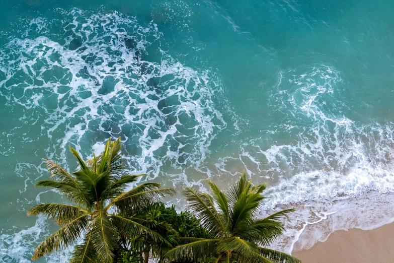 a beach with some trees and water and one person on the sand