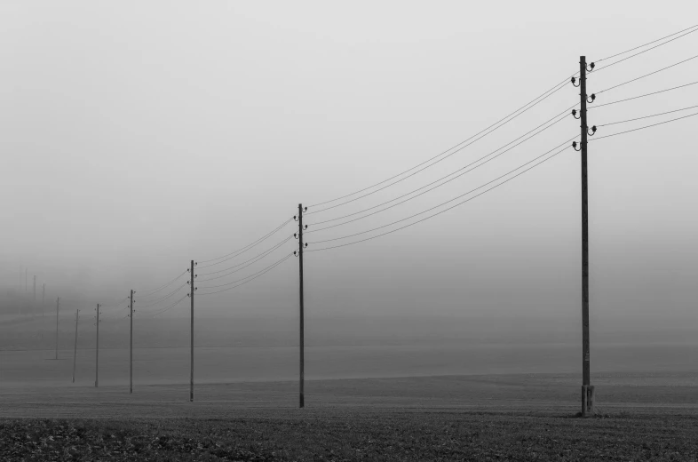 there are many poles and telephone wires that are out in the field