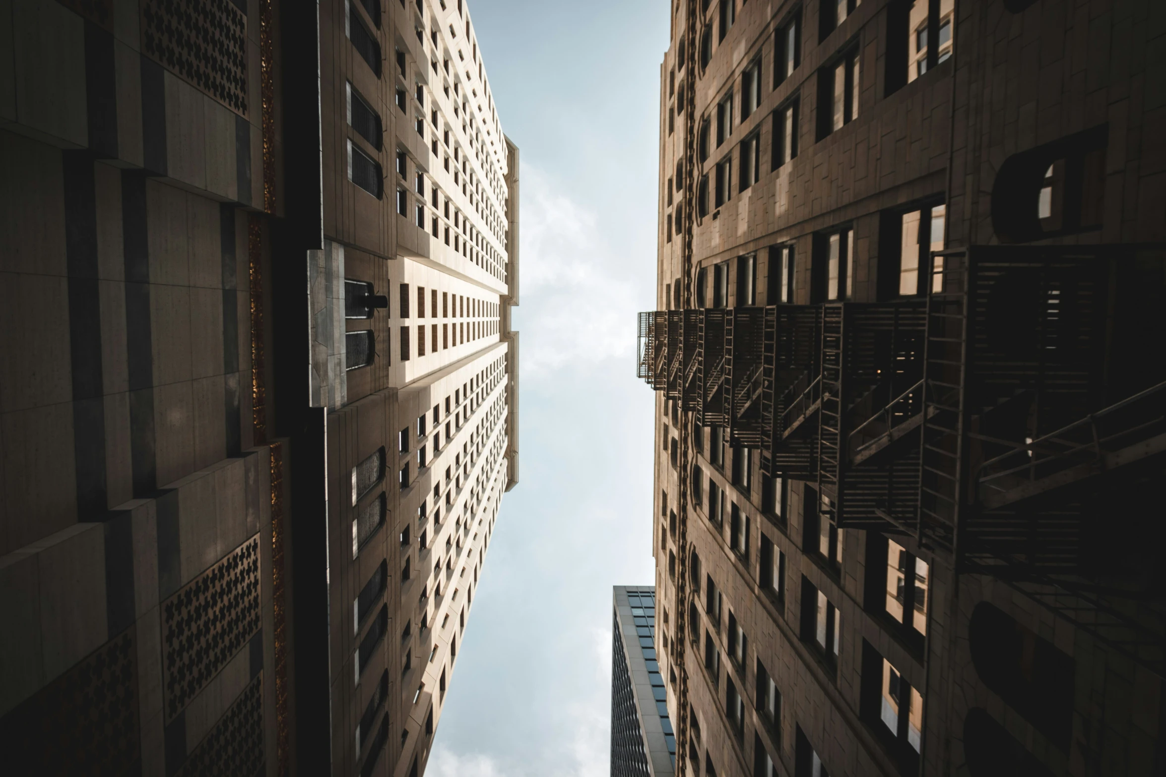 two tall buildings stand in the background as a bird flies through the air