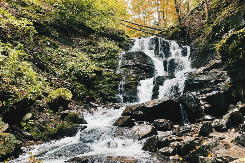 a waterfall surrounded by leaves and rocks