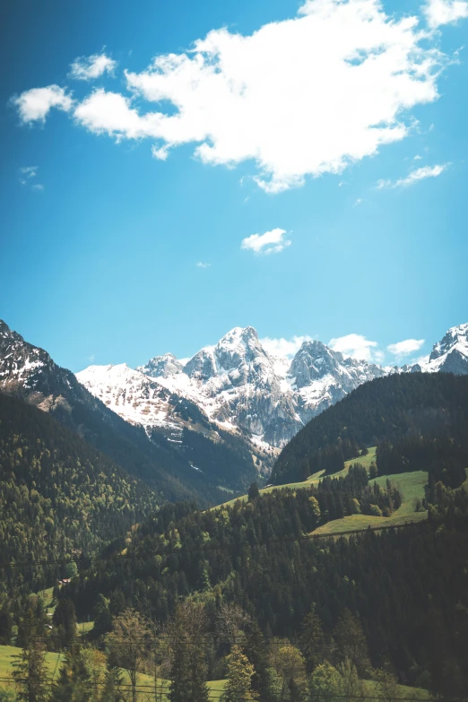 some mountains with trees and a blue sky