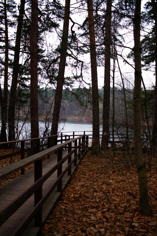 a bench and fence beside a lake near many trees