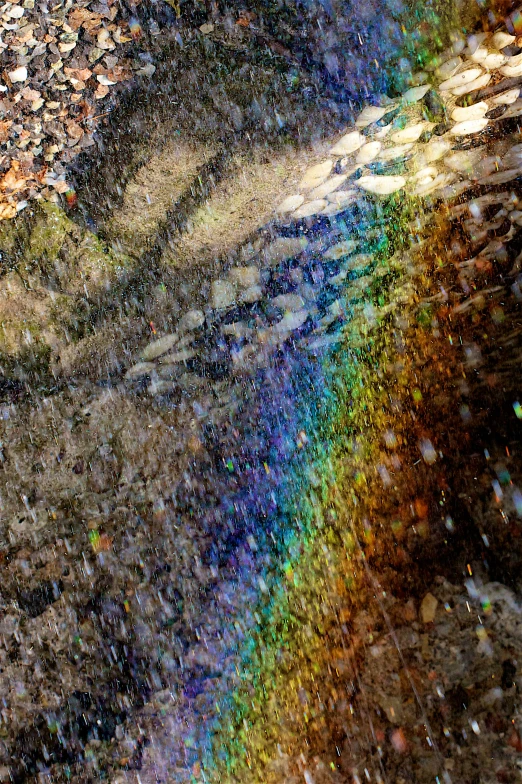 a rainbow light reflecting off the ground