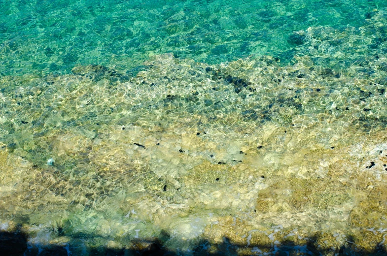 aerial view of clear water and algae in the ocean