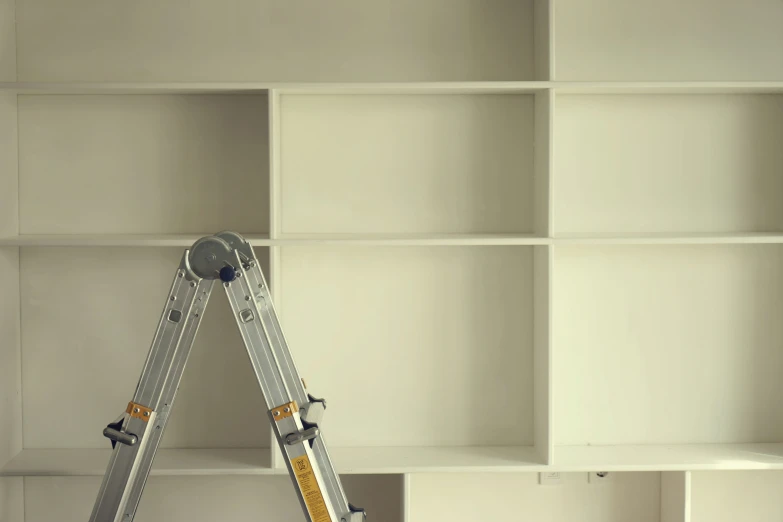 a ladder stands near the top of the bookcase