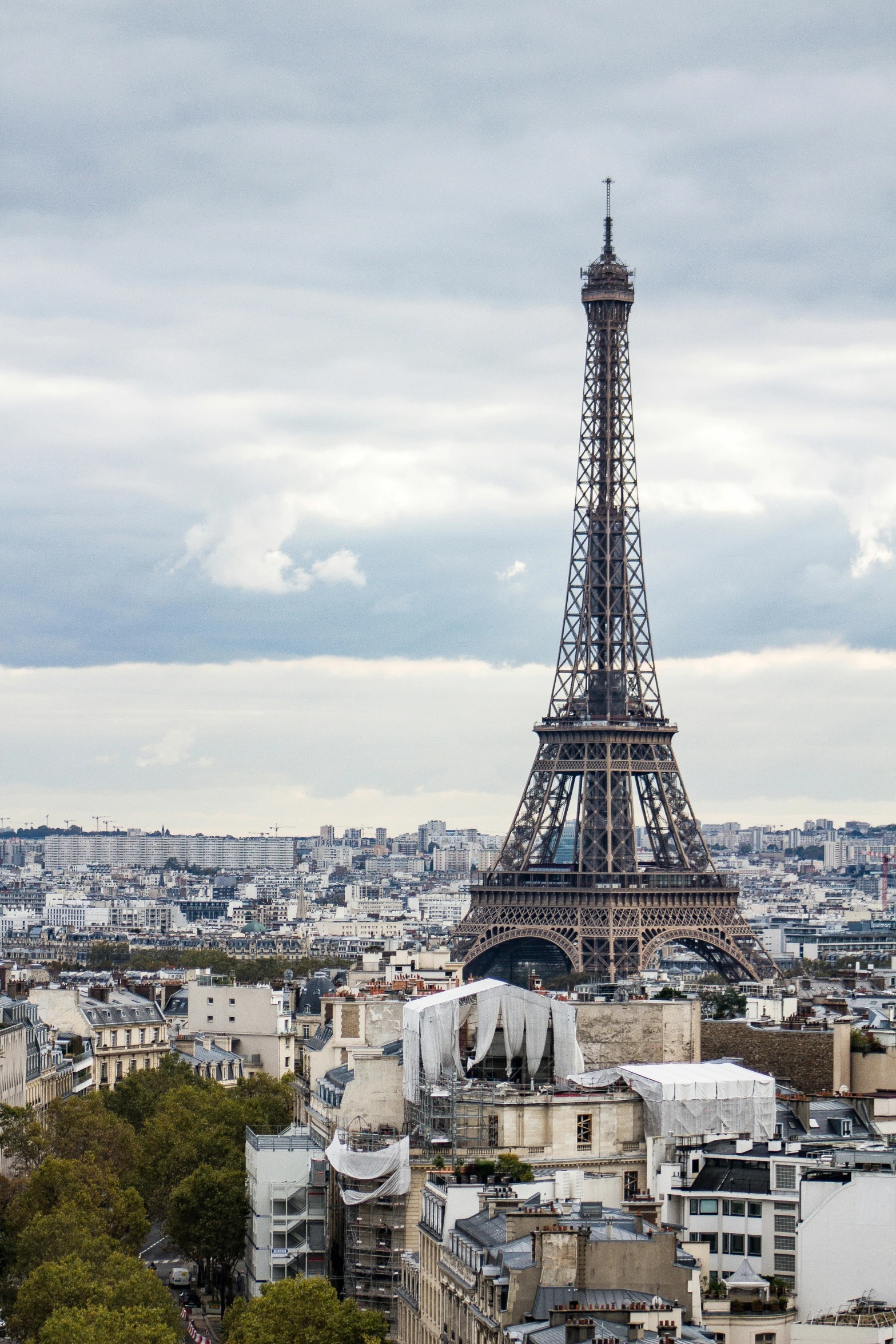 the view of the eiffel tower, in paris, france