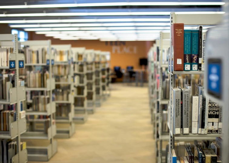 rows of books sit on the racks at the liry