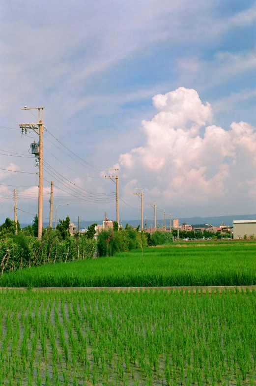 a large field that has a few power lines in it