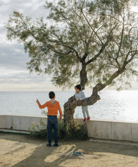 a couple of s standing on the trunk of a tree