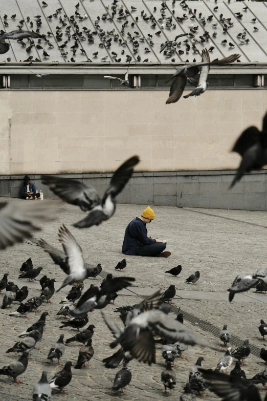 some people sitting on the ground surrounded by a flock of birds