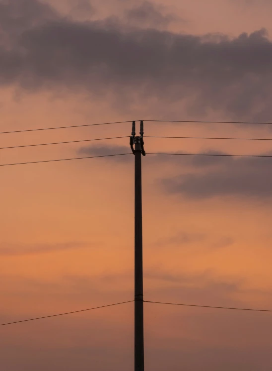 birds are sitting on top of a pole with wires