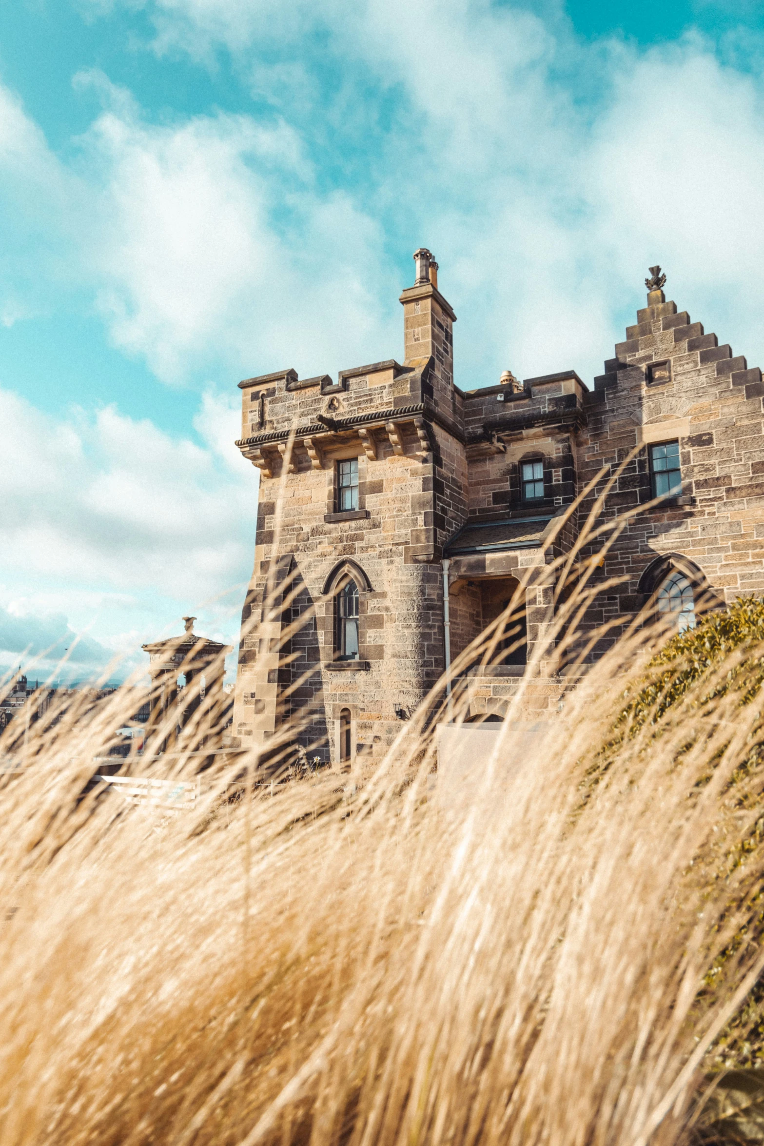 a tall grassy field that has a castle in the middle